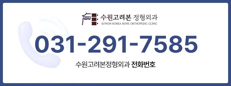 수원목디스크